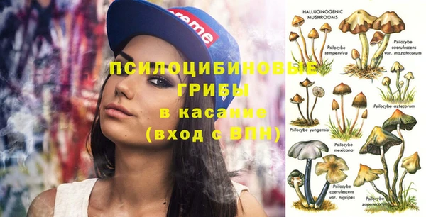 прущая мука Богородицк