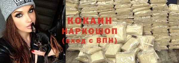 PSILOCYBIN Слюдянка