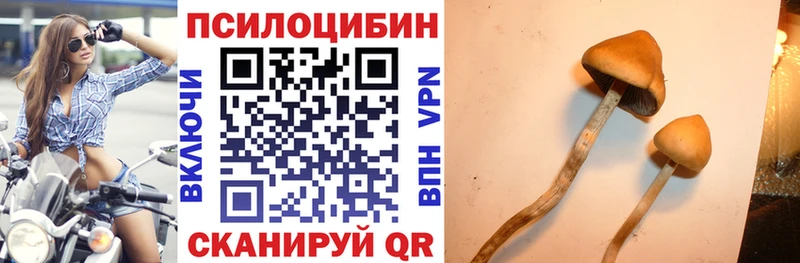 Псилоцибиновые грибы MAGIC MUSHROOMS  Северская 